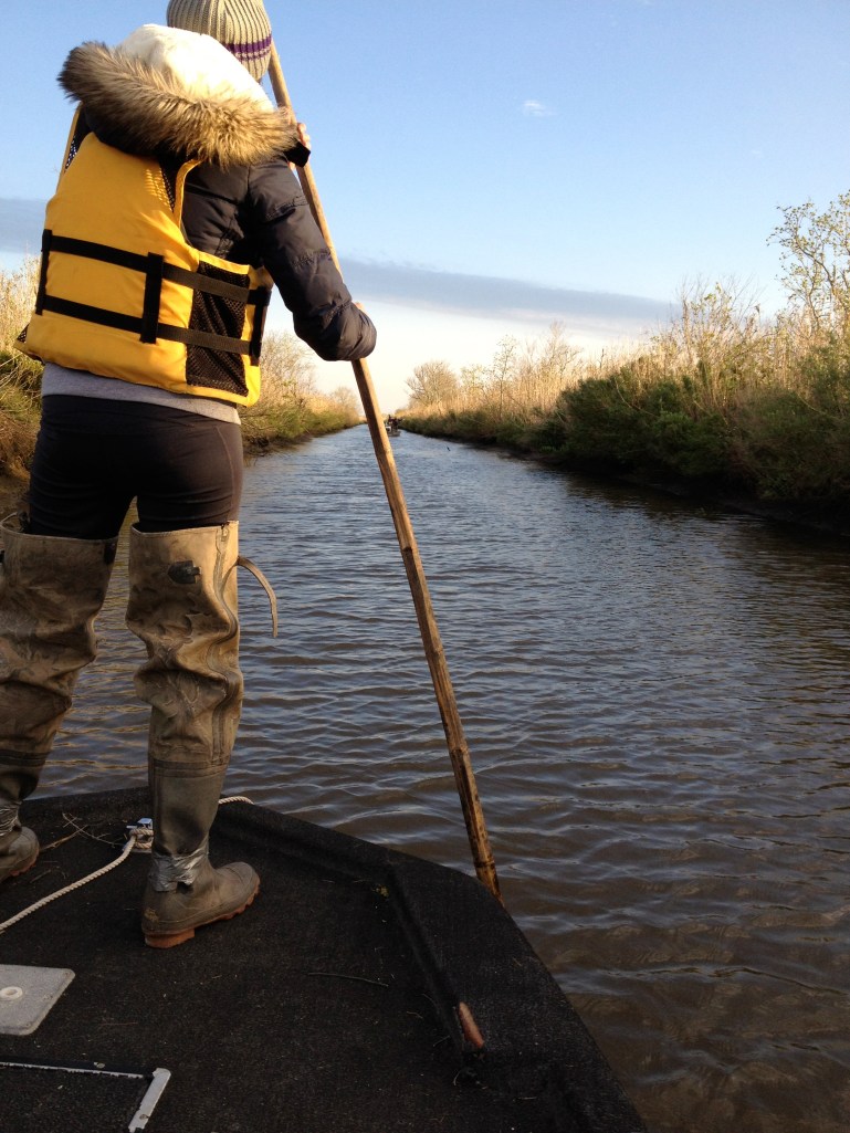 Polling in the Bayou