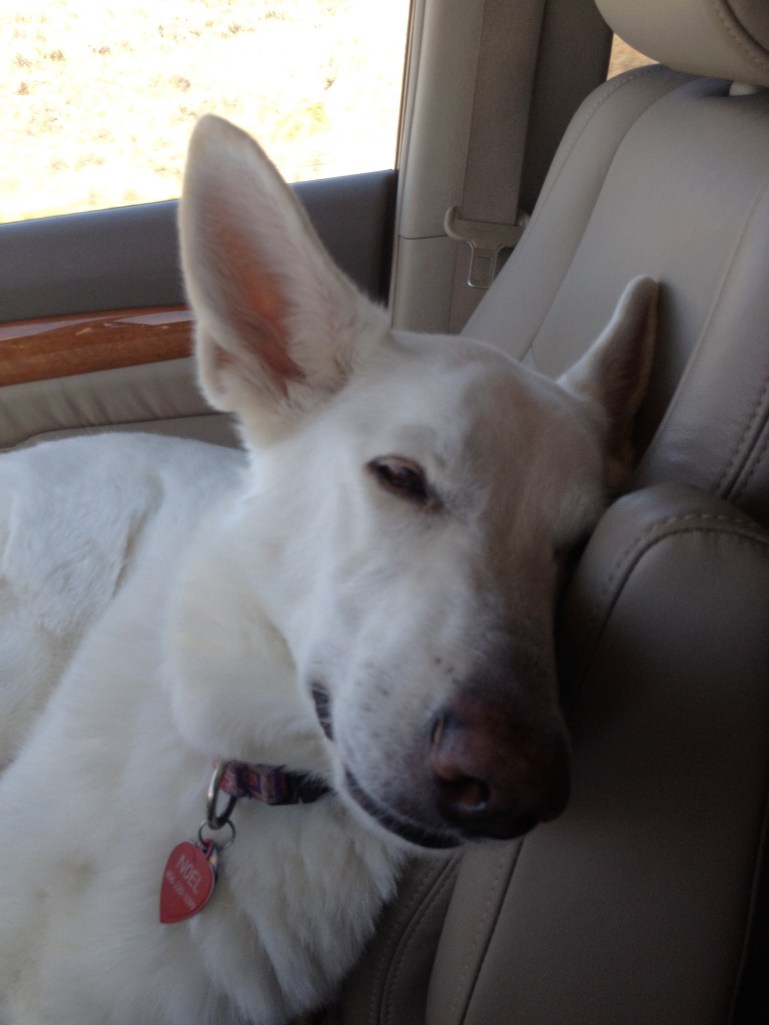 Noel, 36 hours or this...