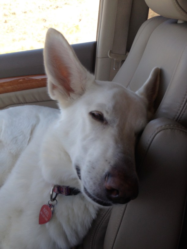 Noel, 36 hours or this...