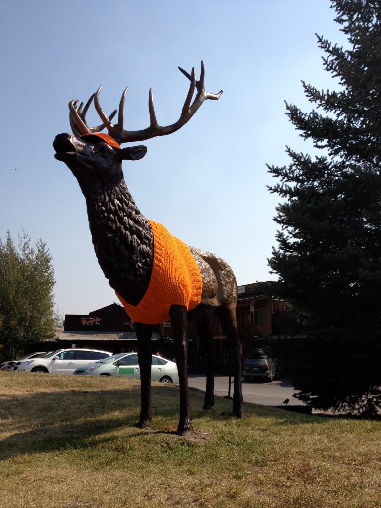 knitting, Wilson, Wyoming