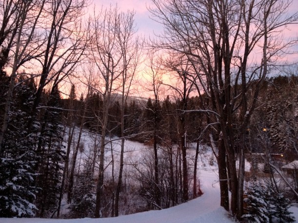 winter from my house