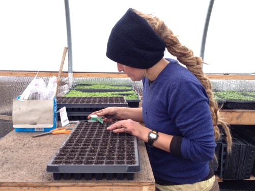 seeding for the upcoming growing season