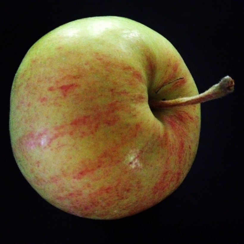The Empire Apple, small as a plum